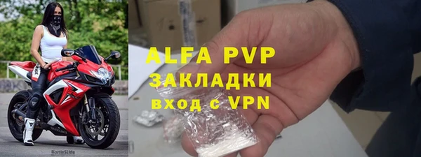 гашик Сосновый Бор