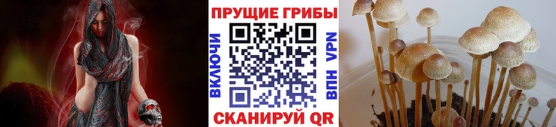 где купить наркоту мега ONION Галлюциногенные грибы мухоморы Чайковский